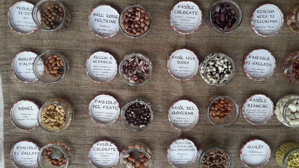 There live the blind texts