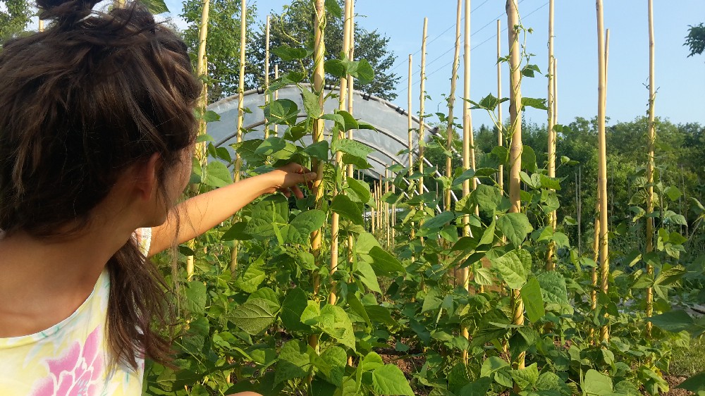 There live the blind texts