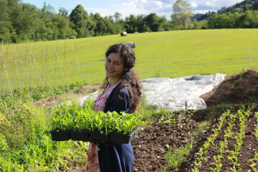 There live the blind texts