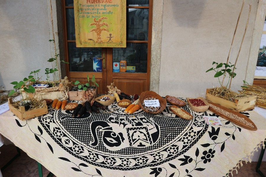 There live the blind texts